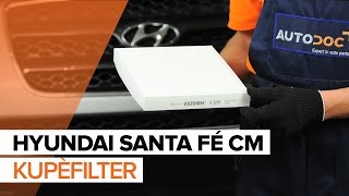 Vedlikehold Hyundai Sonata NF 2011 - videoguide