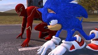 Sonic vs Flash Hot 🔥 Race!