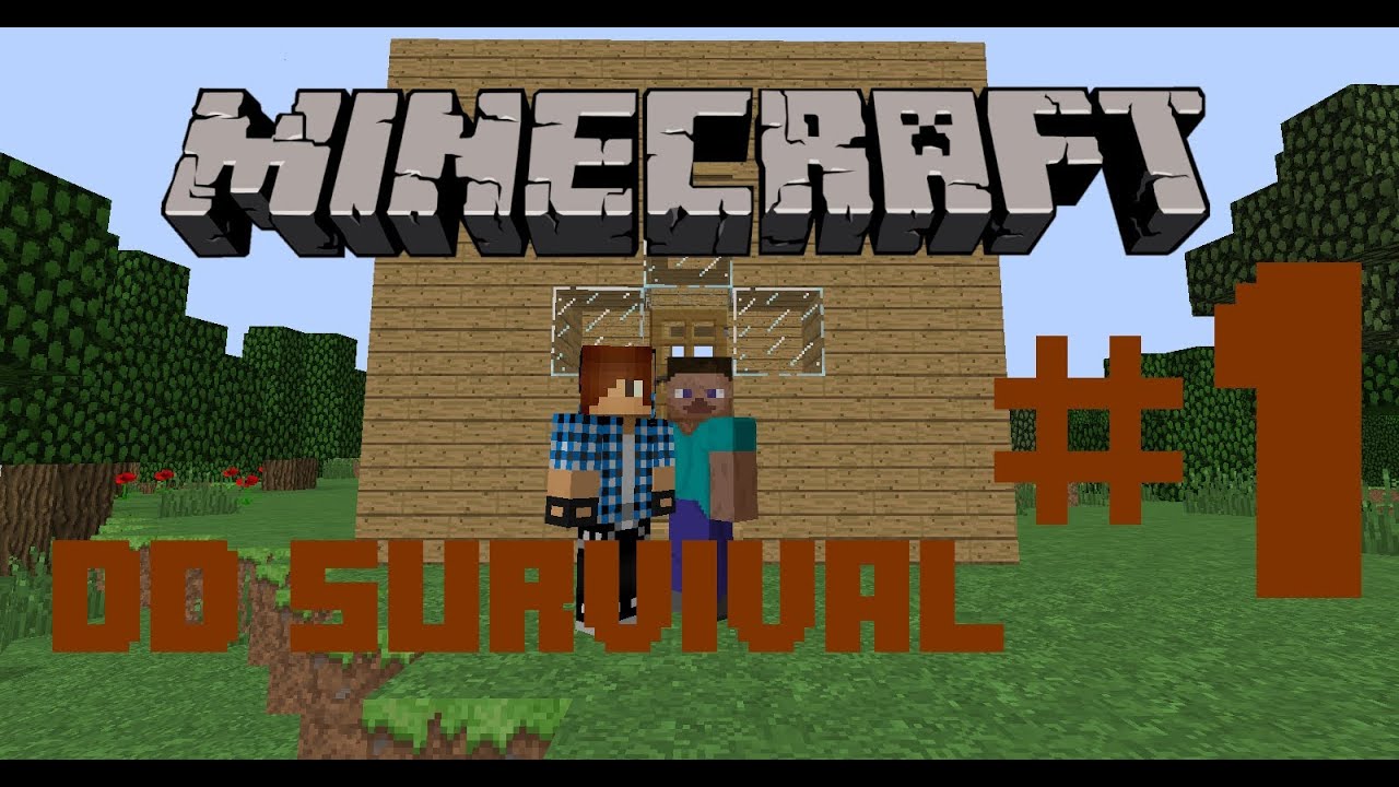 Minecraft - DD SMP with DiamondCraft MC - BRAND NEW SERIES
