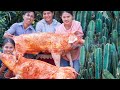 Wow! Cooking 2 WHOLE PIG 120KG with SAN PEDRO CACTUS with Big Donation Food in Village - Soup Recipe