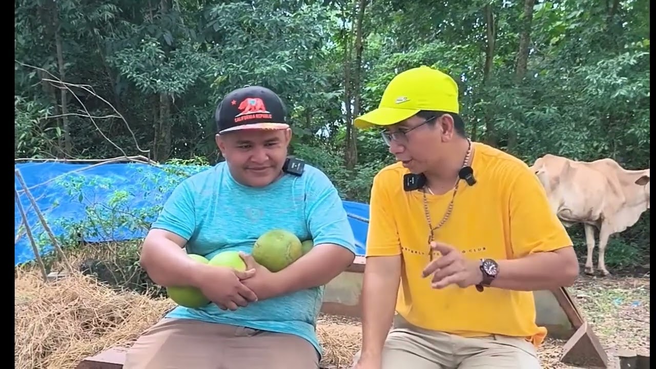 GUSTO NI VANDAM MAGKAROON NG BONUS KAY DADDY FRANKIE PAYAG PO BA KAYO MGA KABABAYAN? 