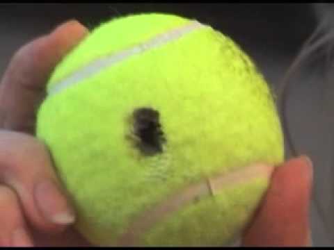 comment ouvrir une twingo avec une balle de tennis