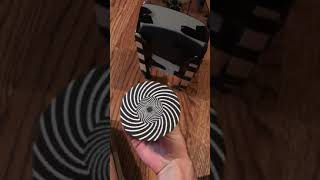English 1102 Optical Toy: Watson Casal’s Kaleidospin