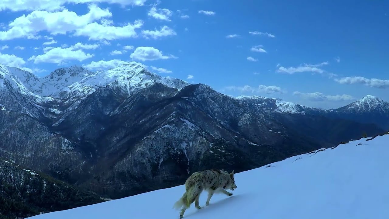 l'alta strada - ghjuvan petru