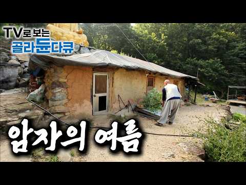 찌는 듯한 무더위, 반복되는 일상이 이어지는 <strong>여름날</strong>. 심심산골에서 자연과 더불어 각양각색의 모습으로 삶의 답을 찾아가는 스님들｜오지 암자의 여름｜한국기행｜#골라듄다큐