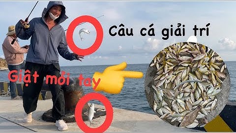 Tiếp tục chiến đấu cảng cà ná nha mọi người - cá trap- cá dìa -cá róc ( giật mỏi tay) 🎣🎣🎣 #cauca