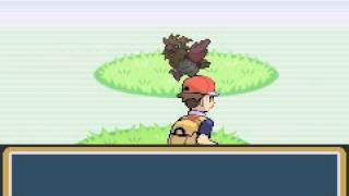 How To Get Spearow Pokemon Leaf Green