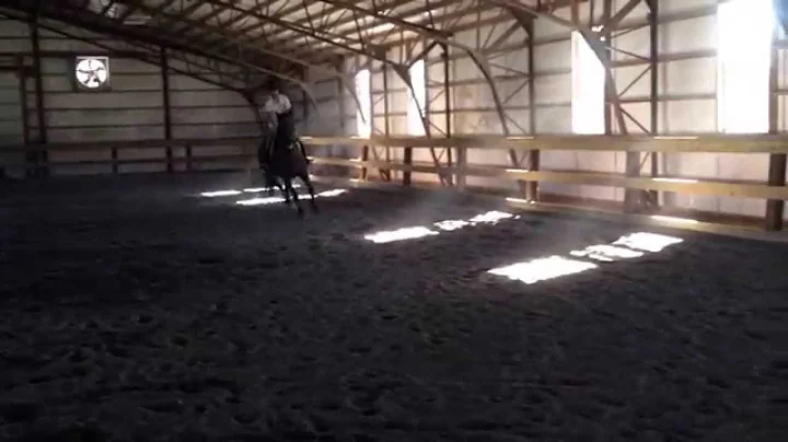Misty canter 9-21-2014