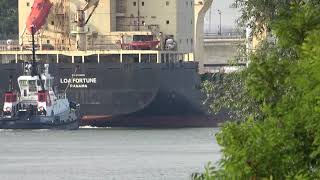 THAMESBANK - LOA FORTUNE - VB FURIE