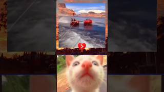 Cipi Cipi Capa Capa (2)