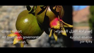 Green Manah/النزل الخضراء منح