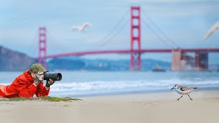 I Almost Missed My Dream Image
