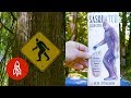 Tracking Down Bigfoot