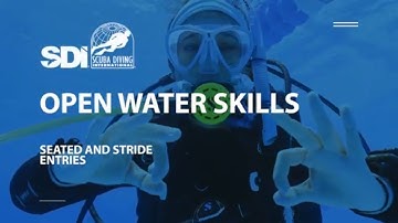 How To Do Deep Water Entries for Scuba Diving - SDI Open Water Skills