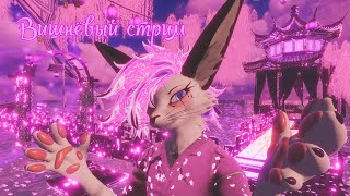 Вишнёвый 🦊🌸 стрим