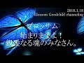 【ブロッサム】いよいよ始まりますよ！親愛なる魂のみなさん。