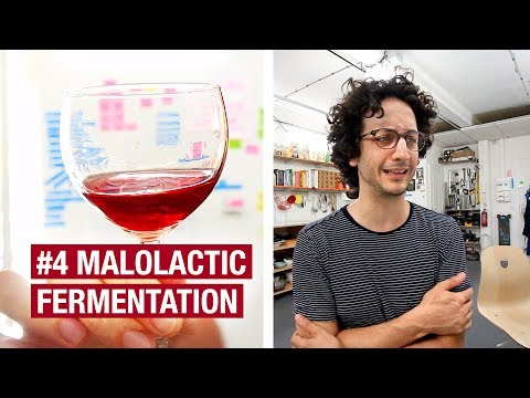 4. I Wish I Could Go Back In Time... The Malolactic Fermentation.