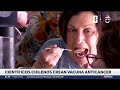Iansa deja a remolacheros en lenta agonía: Empresa no comprará más remolacha nacional - CHV Noticias