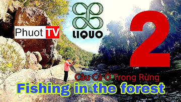 🎣 Câu Cá Trong Rừng Sâu - Khám Phá Hoang Dã Đầy Kịch Tính! 🌲