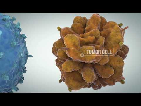 Video: Immune Checkpoint-therapie Bij Leverkanker