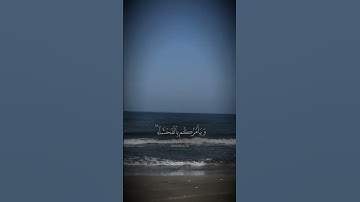 #القرآن_الكريم #اكسبلور #المصحف #بسم_الله_الرحمن_الرحيم #القزابري #سورة_البقرة #راحة_نفسية #الرحمن