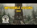 Rare Logging Photos: 1890-1930 | Before Heavy Machinery (Pt. 2)