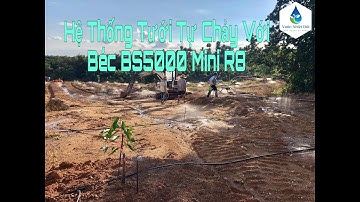 Hệ Thống Tưới Tự Chảy Với Béc BS5000 mini R8 Cho 10 Ha Đồi Dốc