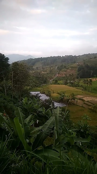 Indah dan sejuk pemandangan di pagi hari #shorts #keindahanalam  #kuningan