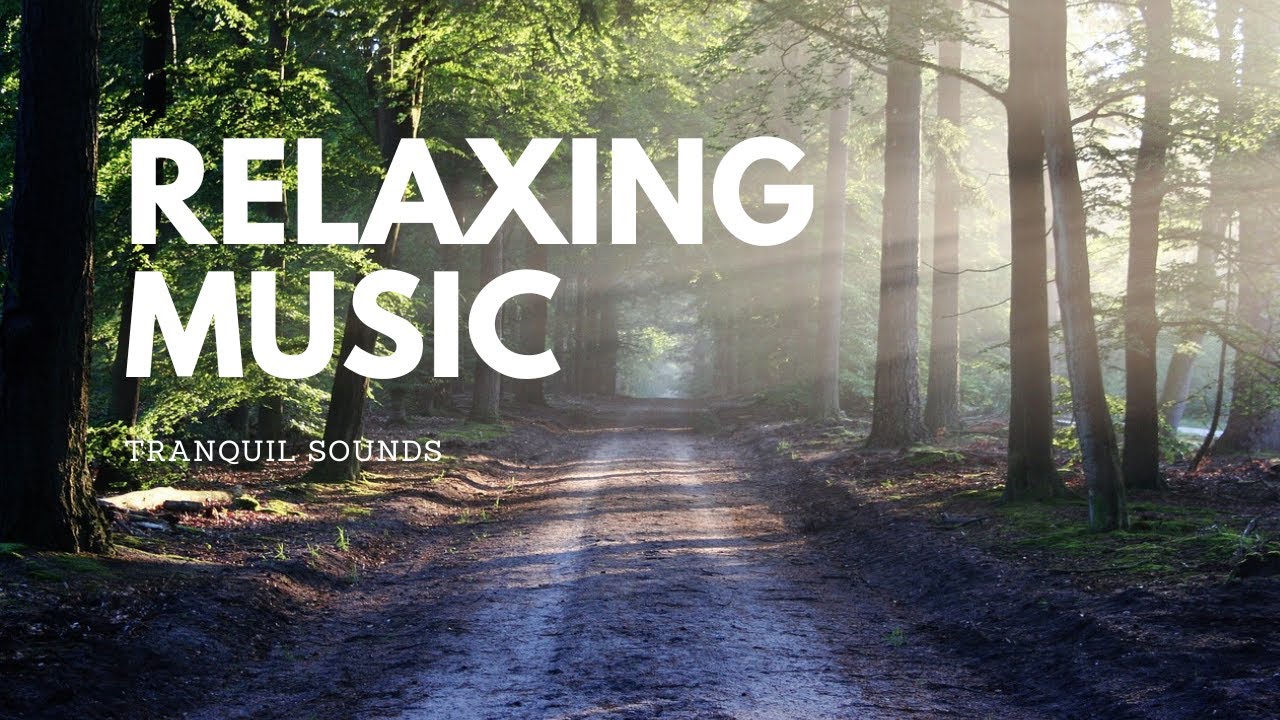 The Beautiful Chilling Sound of Nature, Forest Music, Beautiful Nature