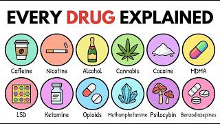 Every Drug & Its Effect Explained in 15 Minutes