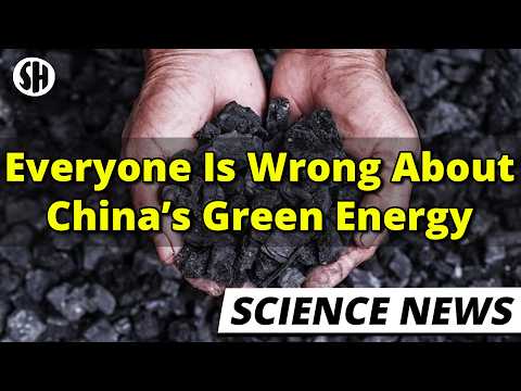 backreaction.blogspot.com - Sabine Hossenfelder - The Truth About China's Green Energy Industry