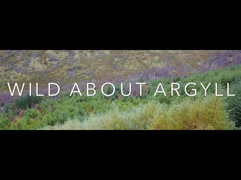 Wild About Argyll - Deutsche Fassung