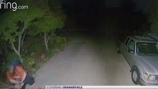 Alleged Orangevale cat killer arrested