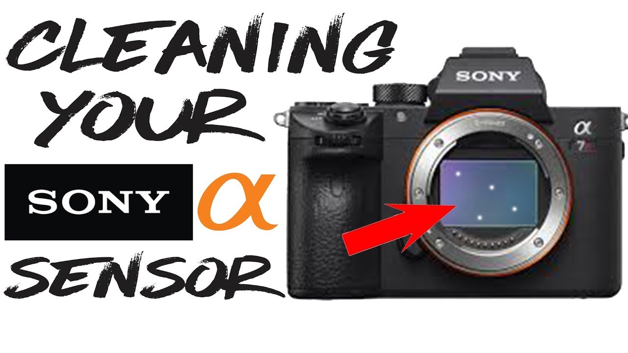 How To Clean Sony A7rii Mirrorless Sensor Tutorial A7riii A7sii A7iii Youtube