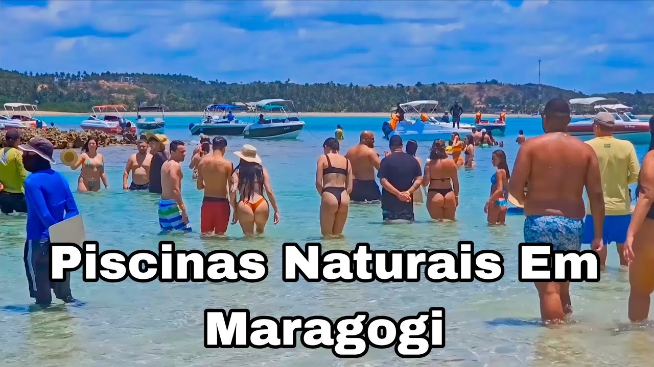 Maragogi Alagoas Melhores Passeios Para Piscinas Naturais 2026