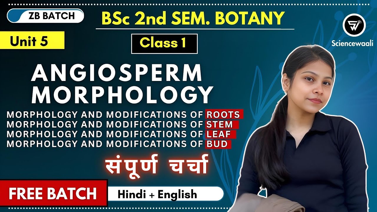 Morphology and modification of flowering plants bsc 1st year 2nd sem. unit 5🔥Angiosperm morphology