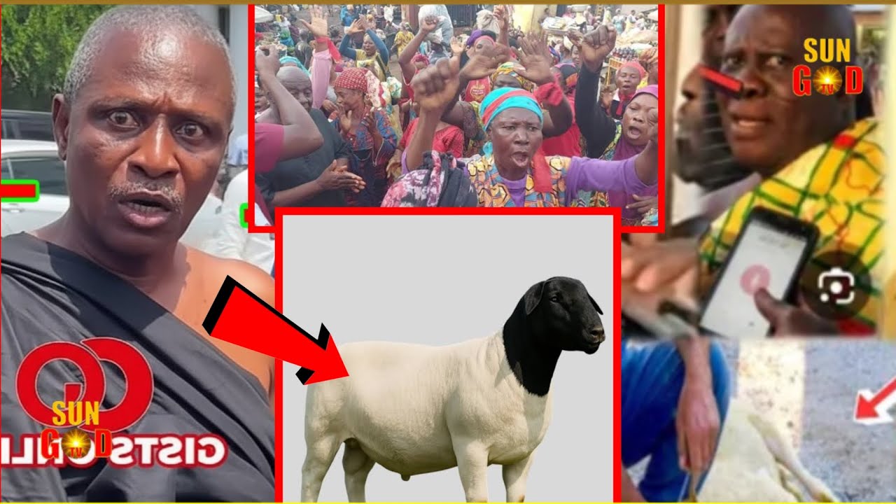 Ayehu; Paakosohene finally Slaughtered a big Sheep to Overthrown Abusuapanin, eii Asem aba…..