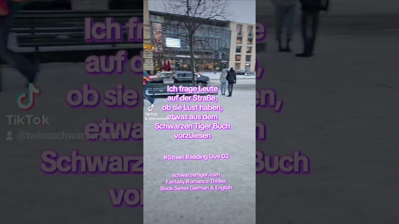 Bookvideo323 Romance Fantasy Book Series Schwarzer/Black Tiger by TWINS