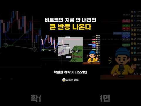 비트코인 지금 안 내리면 큰 반등 나온다