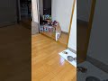 何処にいるでしょう?