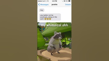 Despite the horrors, we vibe  #raccoon#indiedev#cozygames#gaming#animals#funny #gamedevelopment