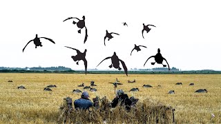 OPENING 2 DAYS DUCK HUNTING CANADA 2026!
