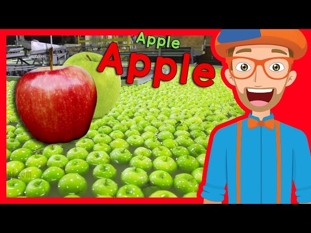 Apples - From Orchard to Store - Tappable Pictionary