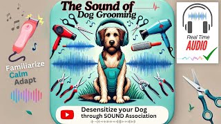 The sound of DOG GROOMING DESENSITIZE your Dog Through SOUND Association