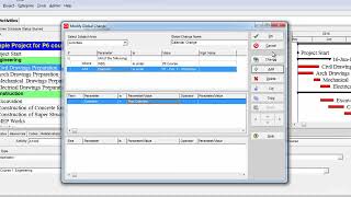 Primavera P6 Training - TOPIC 3 (General) - 6. Global Change