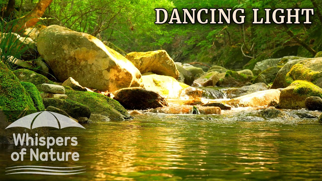 🍃 [Полное расслабление] Танцующий солнечный свет и кристальный шум воды | Whispers of Nature ⏳