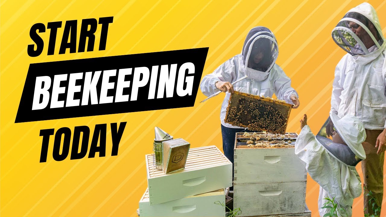 🐝 Become a Bee Expert! 🎓 How To Start Beekeeping with Beverly Bees! 🍯 ...