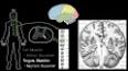 Psikoloji: İnsan Zihninin ve Davranışının Bilimi ile ilgili video