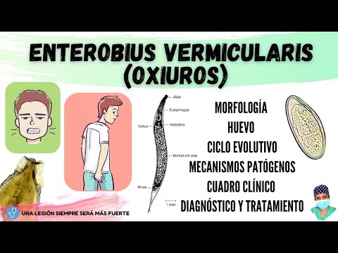 Vídeo: Prevención De La Enterobiasis (oxiuros) En Humanos: Medidas Básicas