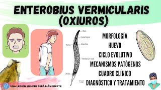 los oxiuros definicion simptomele feței de vierme